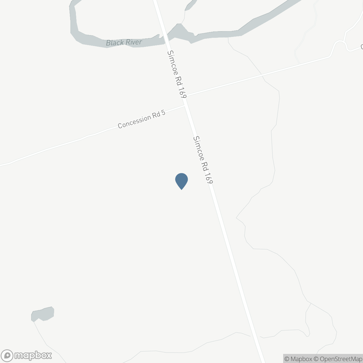8299 COUNTY ROAD 169, Washago, Ontario L0K 2B0